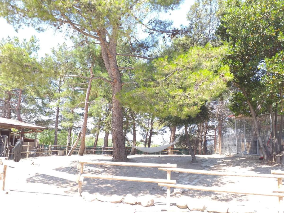Fattoria Country Village Montecarotto ภายนอก รูปภาพ
