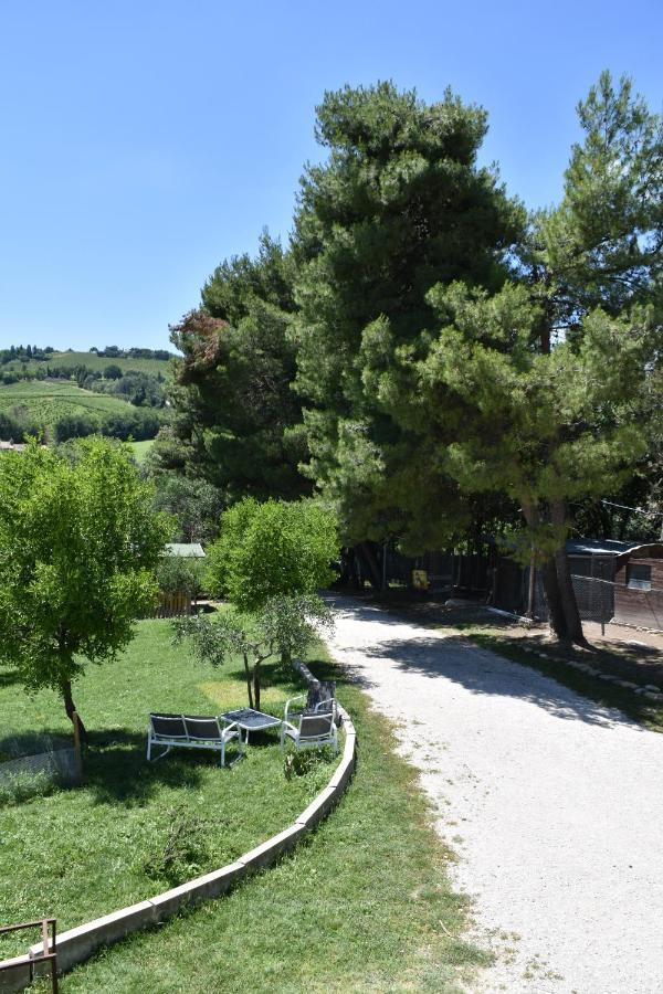 Fattoria Country Village Montecarotto ภายนอก รูปภาพ