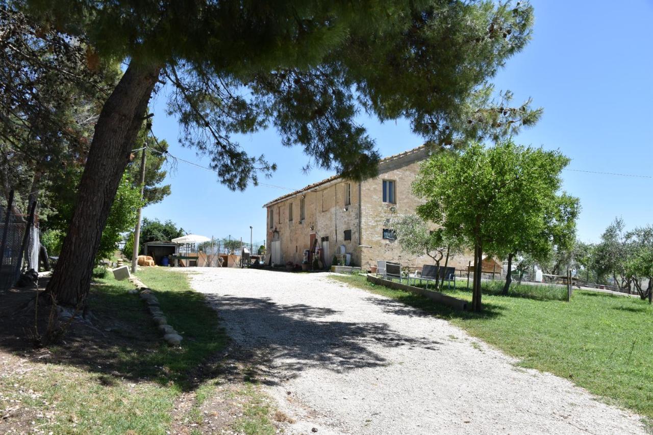 Fattoria Country Village Montecarotto ภายนอก รูปภาพ
